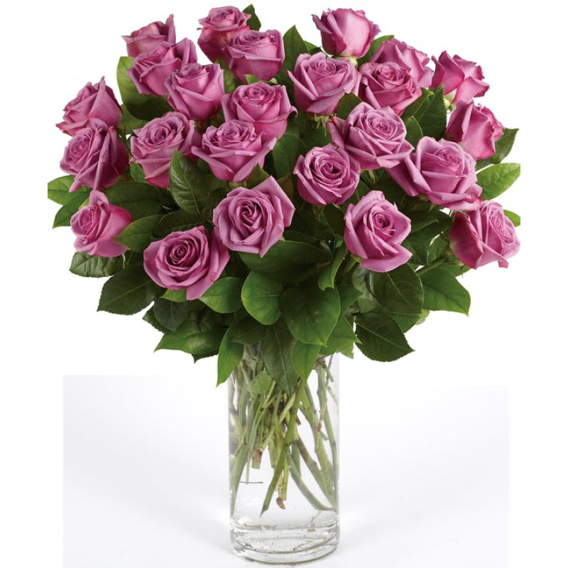 Lavender Roses - Same Day Delivery