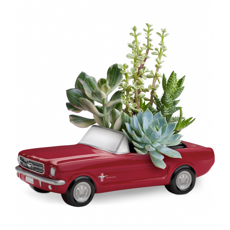 Dream Wheels 65 Ford Mustang - Same Day Delivery