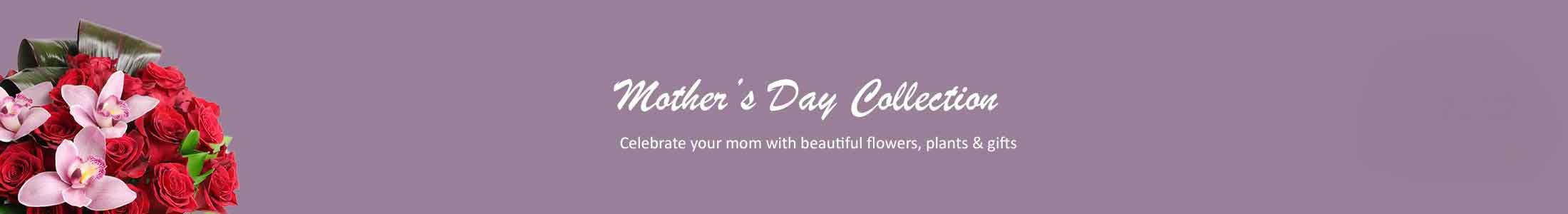 Mother