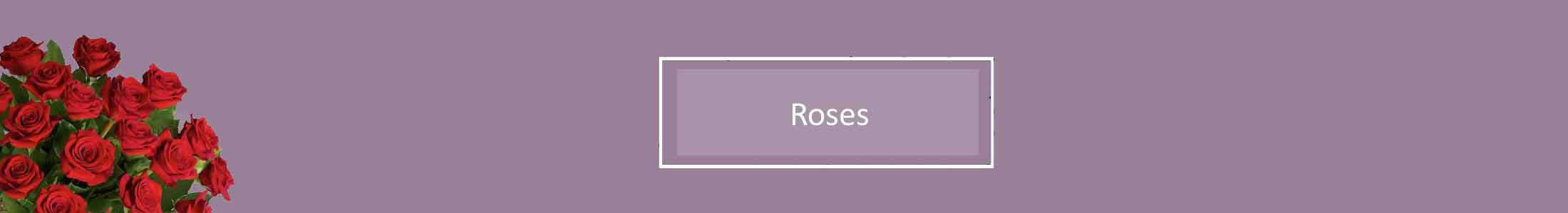 Roses, Mother