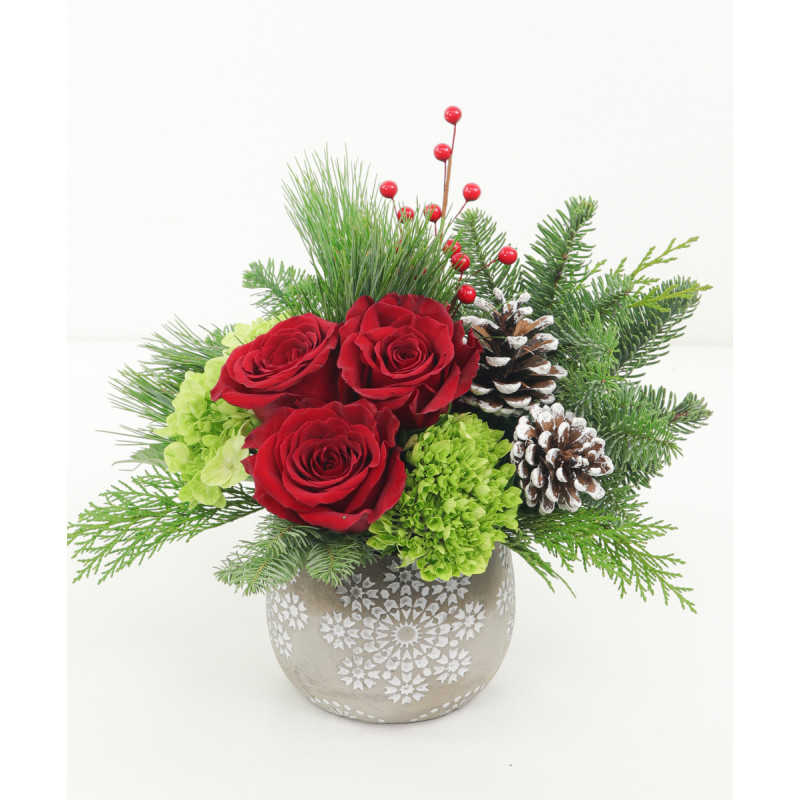 Feliz Navidad - Same Day Delivery
