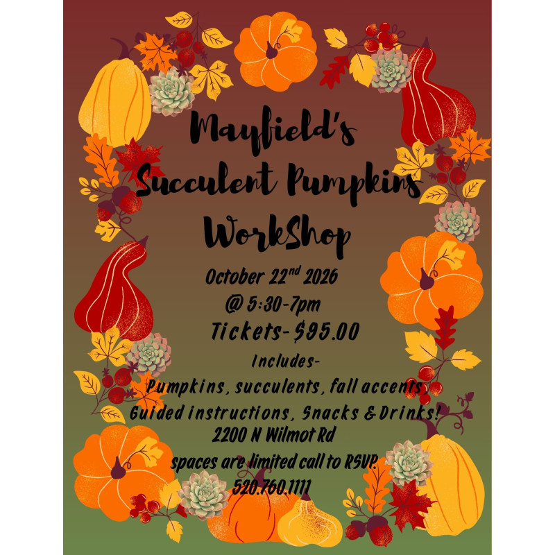 October Workshop - Succulent Pumpkins - Same Day Delivery