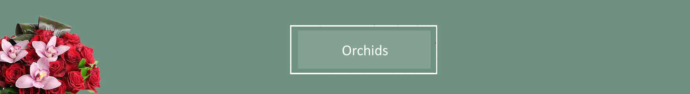 Orchids, Orchid Bouquets