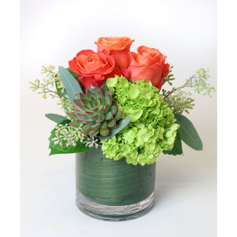 Payson Sensation  - Same Day Delivery