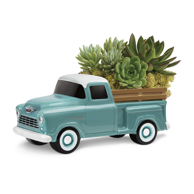 Mayfields Perfect Chevy Pickup  - Same Day Delivery