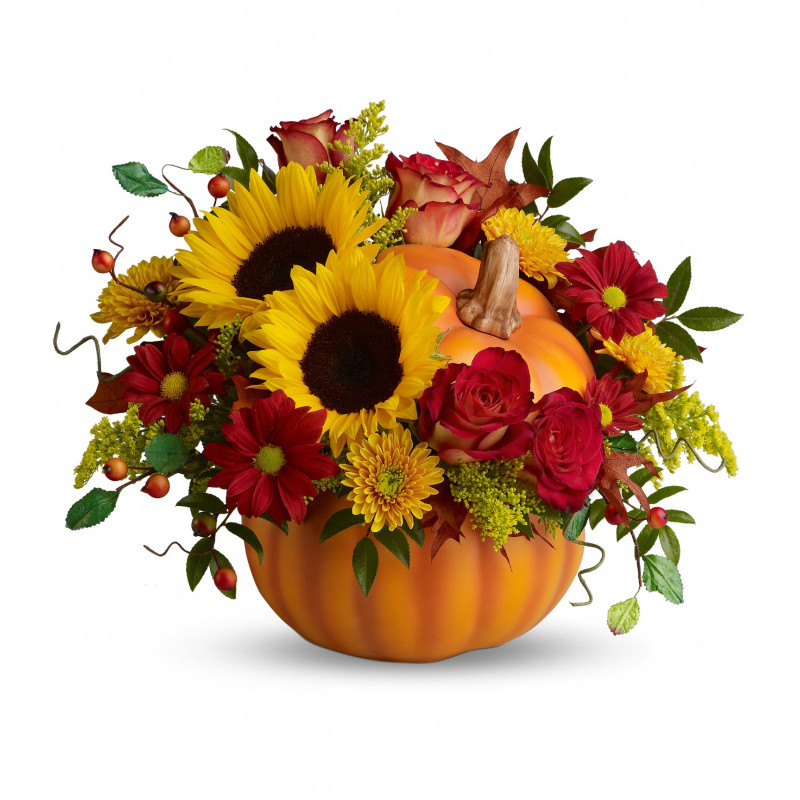 Mayfields Pretty Pumpkin   - Same Day Delivery