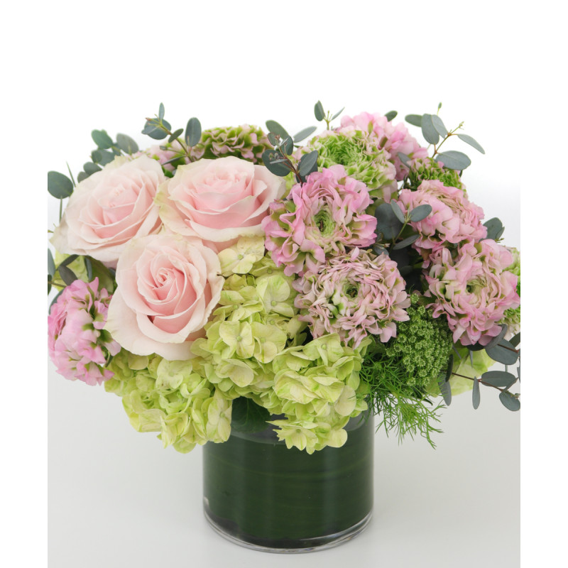Mayfields Ranunculus Garden - In Pink - Same Day Delivery