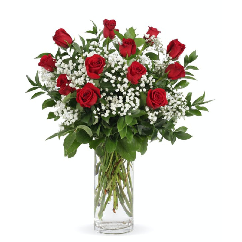 Red Roses With Babies Breath  - Same Day Delivery