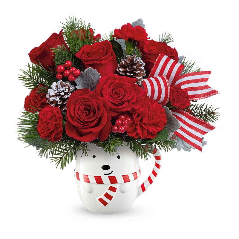 Mayfields Send A Hug Beary Wish - Same Day Delivery