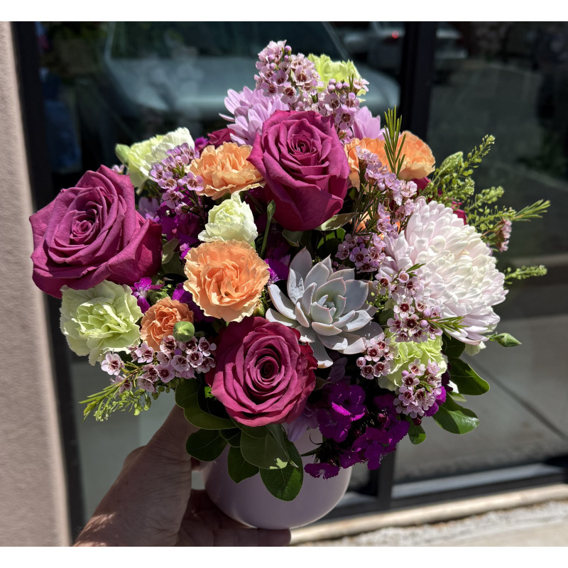 Sherbert And Succulents  - Same Day Delivery