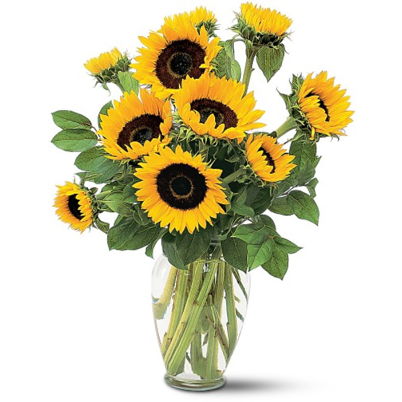 Mayfields Sunbright Bouquet  - Same Day Delivery