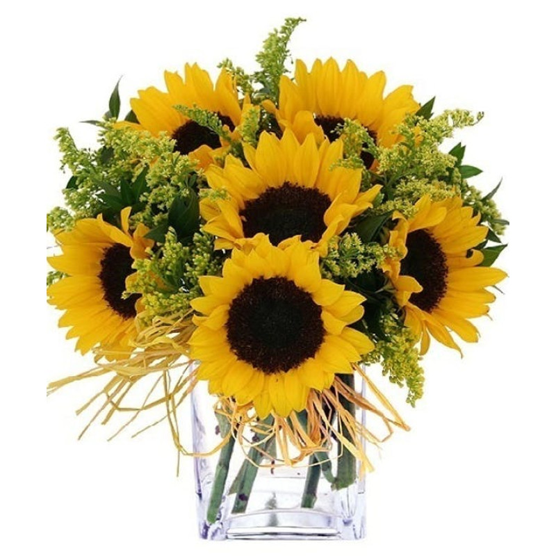 Sunflower Simplicity - Same Day Delivery