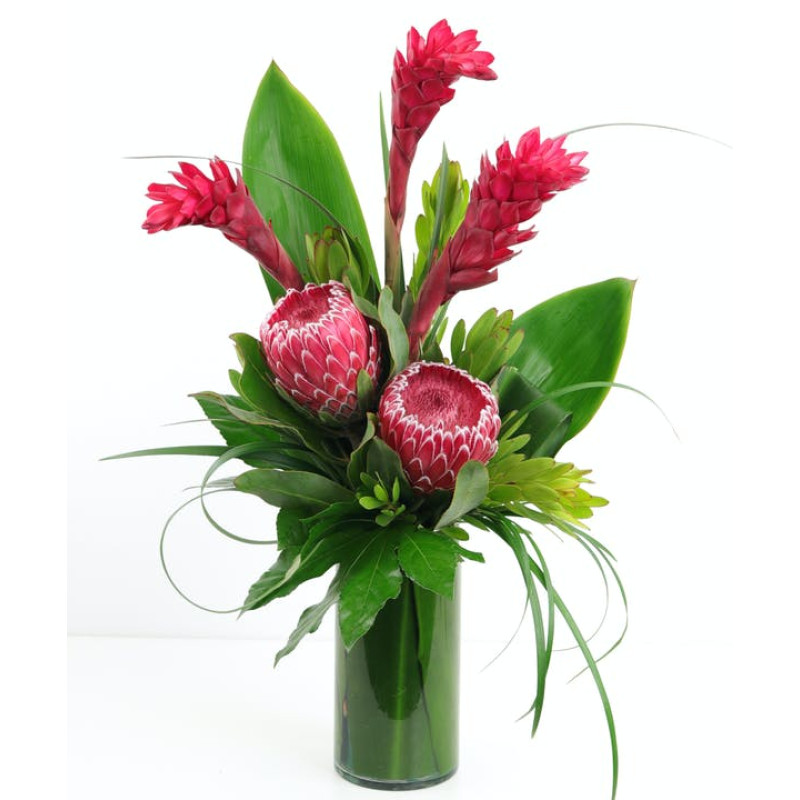 Tucson Tropics - Same Day Delivery