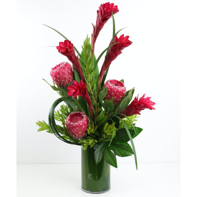 Tucson Tropics - Same Day Delivery