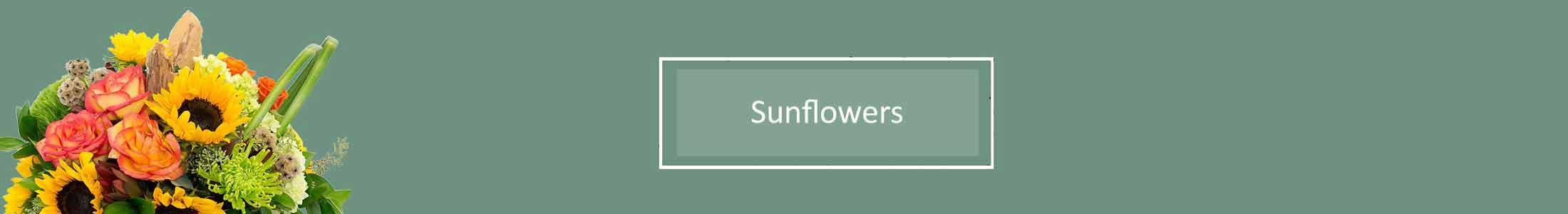 Sunflowers, Sunflower Bouquets