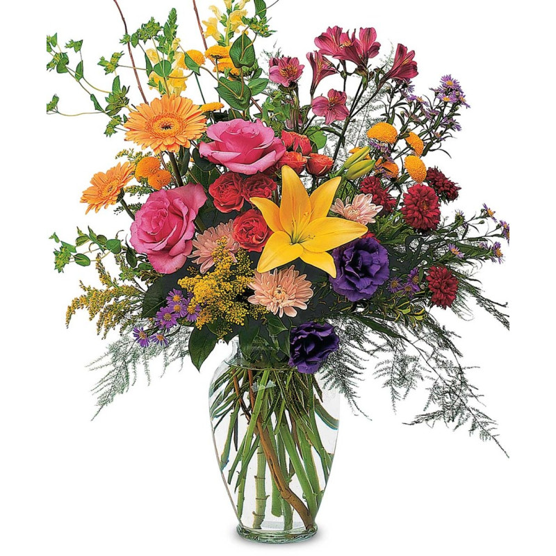 Sunshine - Same Day Delivery