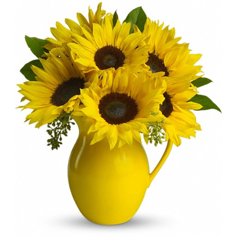 Sunny Day Pitcher of Sunflowers - Same Day Delivery