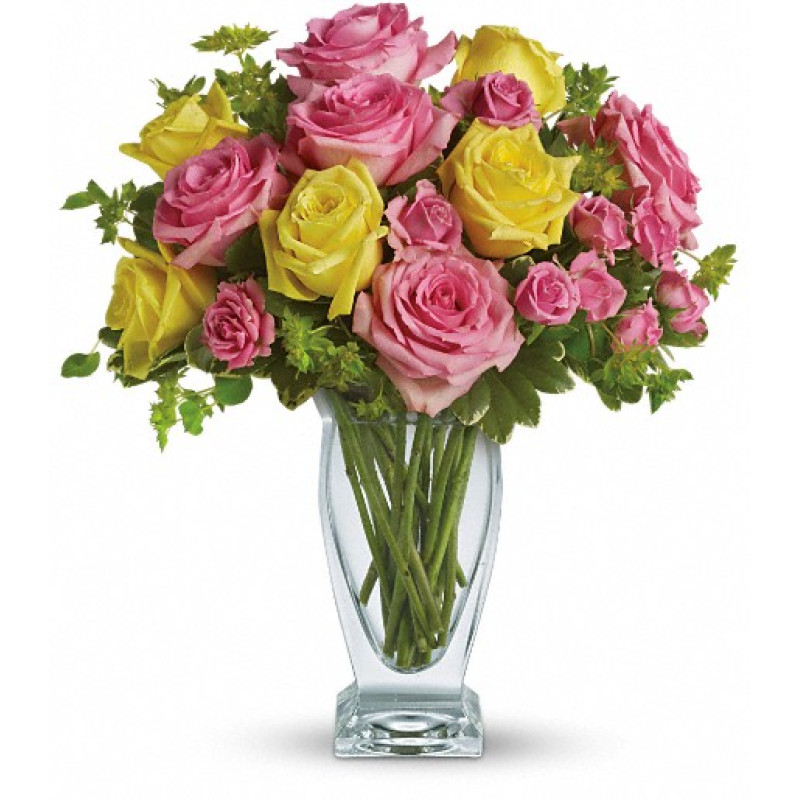 Glorious Day - Same Day Delivery