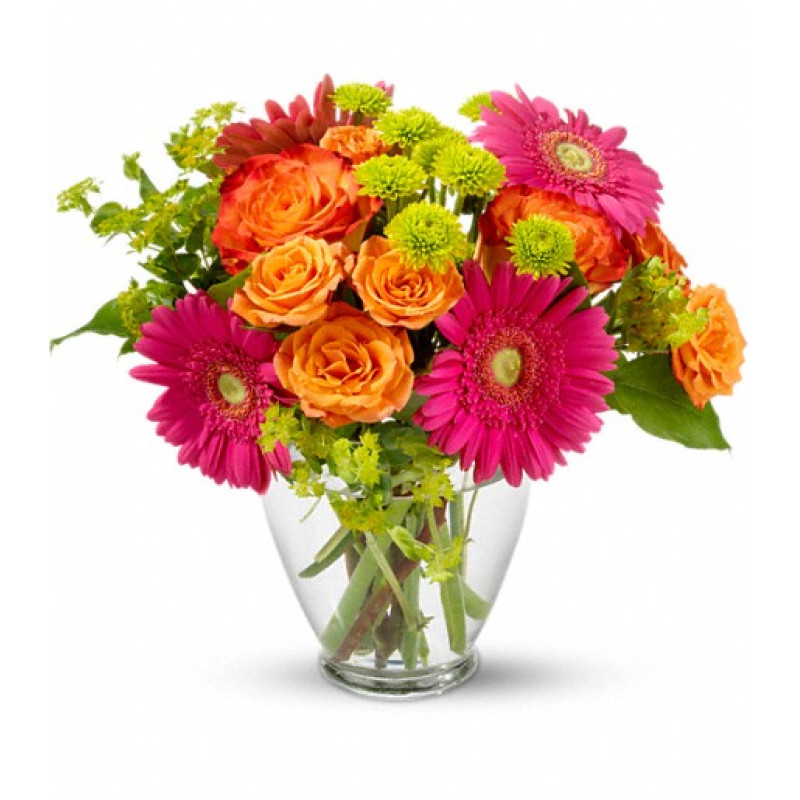 End of the Rainbow - Same Day Delivery