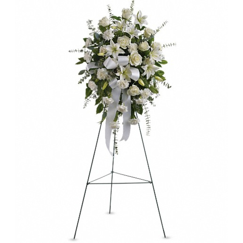 Sentiments of Serenity Spray - Same Day Delivery