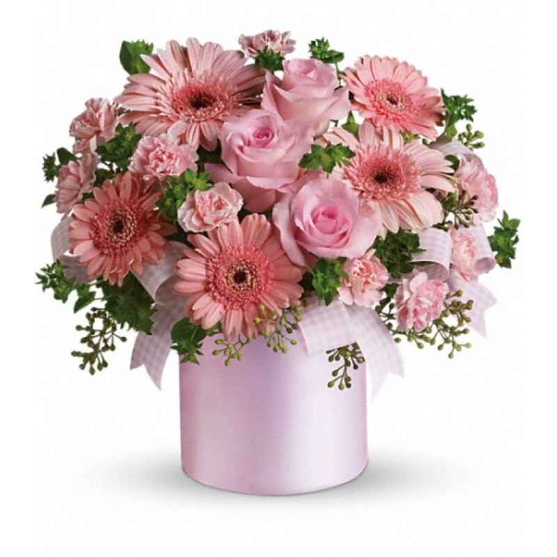 Lovely Lady - Same Day Delivery