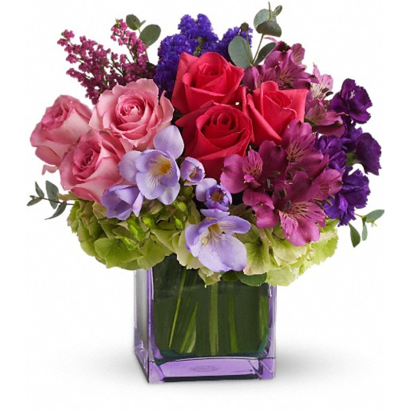 Exquisite Beauty  - Same Day Delivery