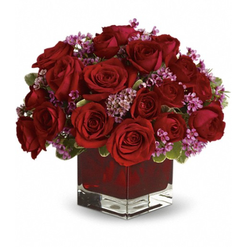 Never Let Go - Same Day Delivery