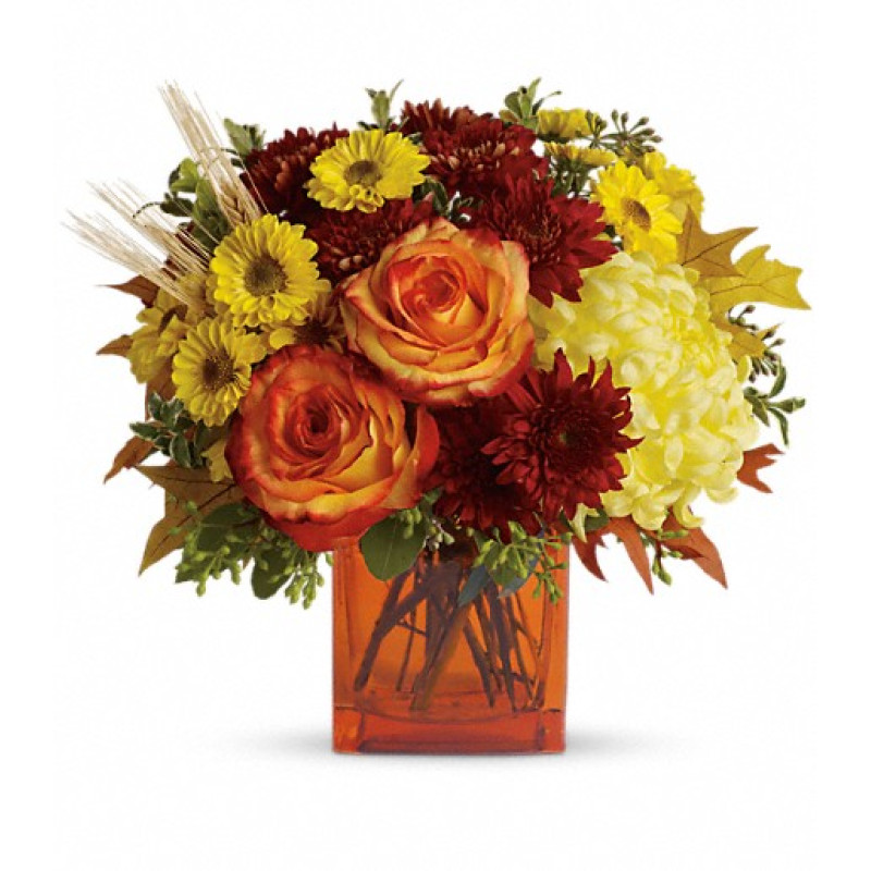 Autumn Expression - Same Day Delivery