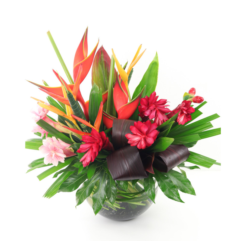 Tropical Bubble - Same Day Delivery