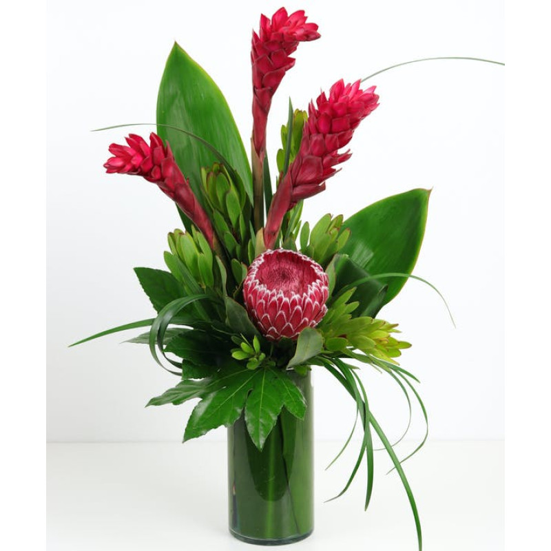 Tucson Tropics - Same Day Delivery