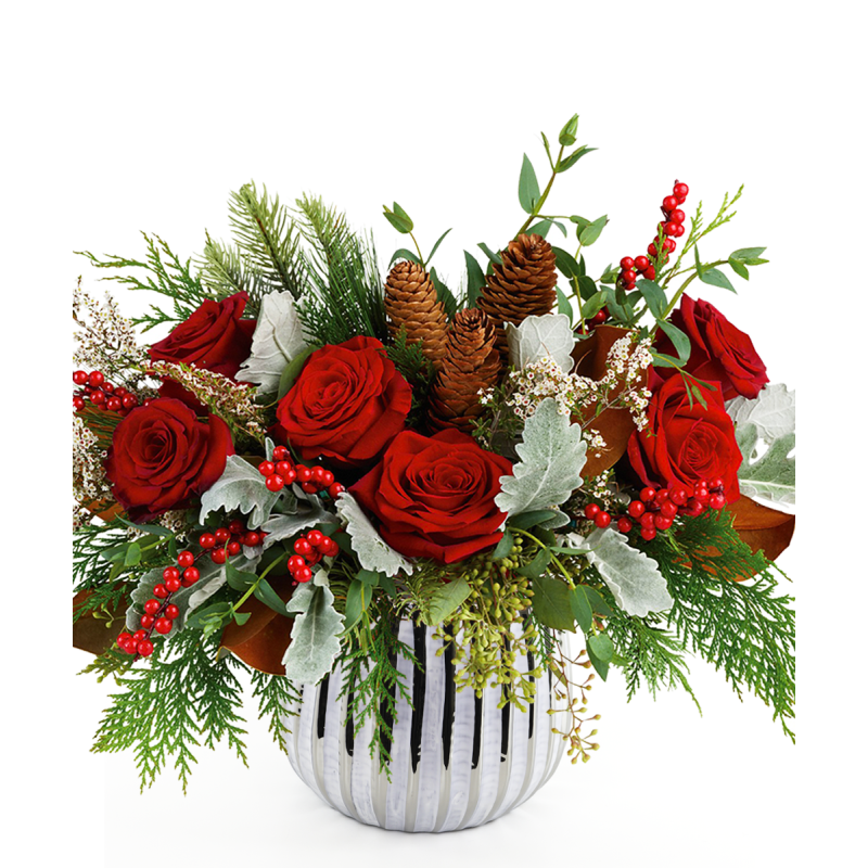 TUCSON WINTER - Same Day Delivery