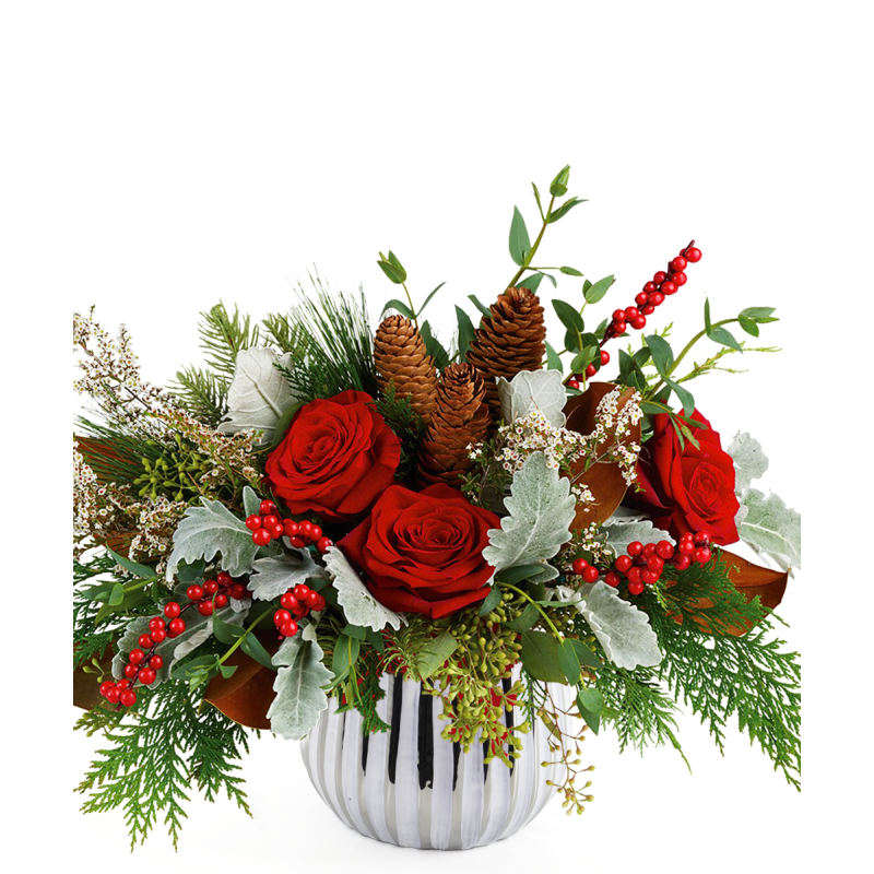 TUCSON WINTER - Same Day Delivery