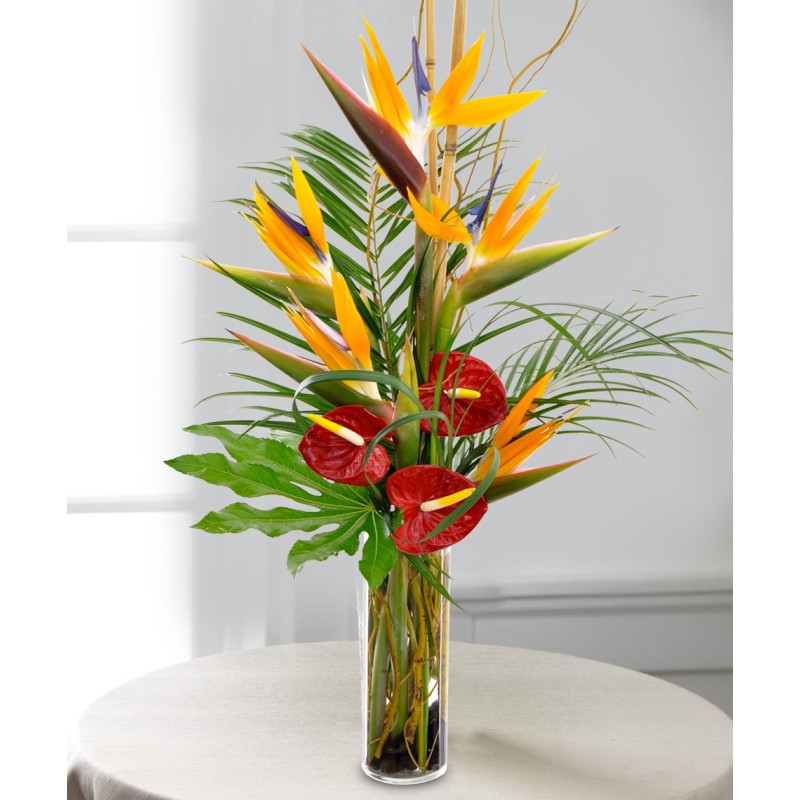 Tropical Paradise Holiday - Same Day Delivery