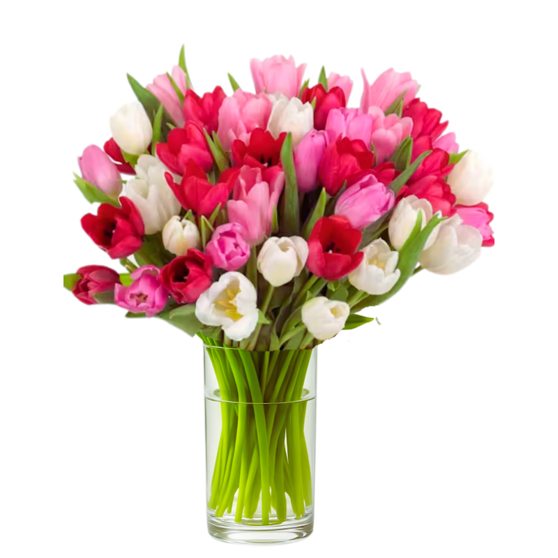 Amazing Tulips - Same Day Delivery