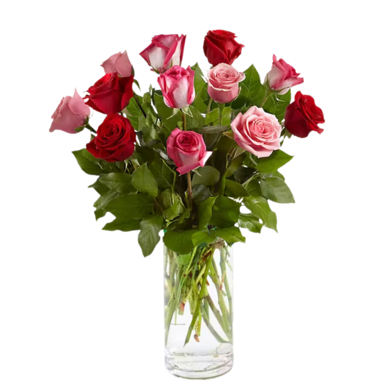 Romance And Roses - Same Day Delivery