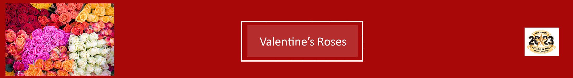 Valentines Roses, Ecuadorian Roses