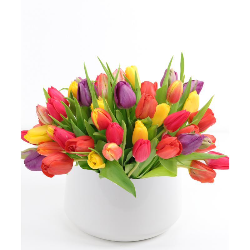 Amazing Tulips - Same Day Delivery