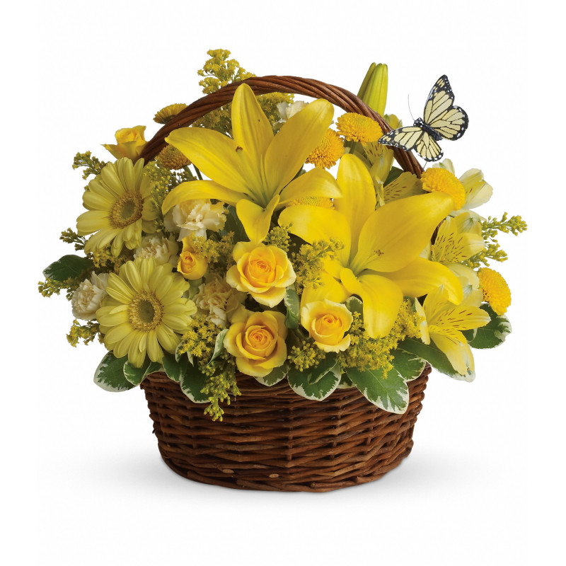 Basket Full of Wishes - Same Day Delivery