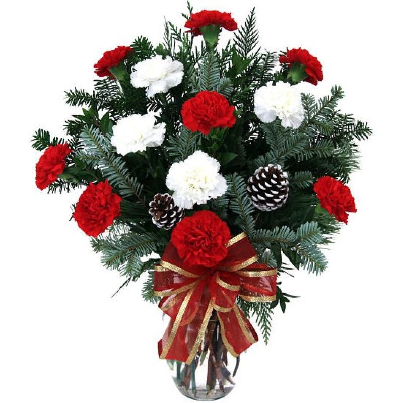 Classic Christmas Carnations - Same Day Delivery