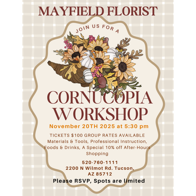 Autumn Workshops - Cornucopia Workshop  - Same Day Delivery