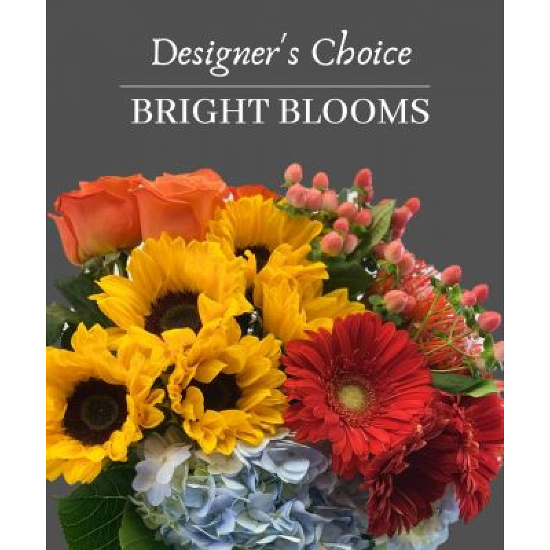 Designers Choice - Bright colors  - Same Day Delivery