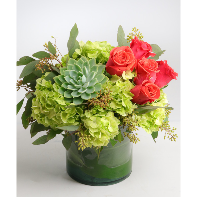 Payson Sensation  - Same Day Delivery