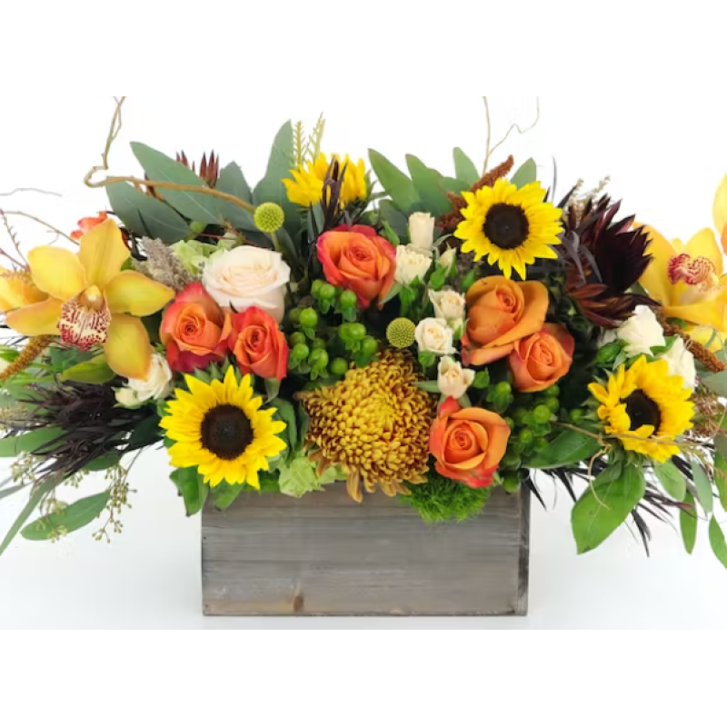 Harvest Abundance - Same Day Delivery