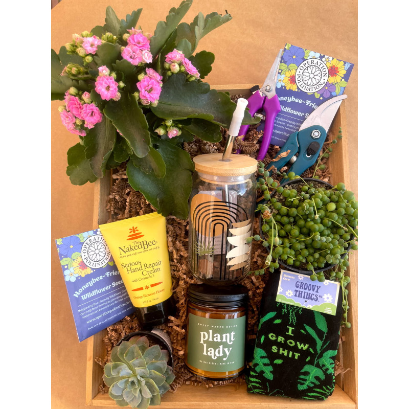 Green Goddess Crate  - Same Day Delivery