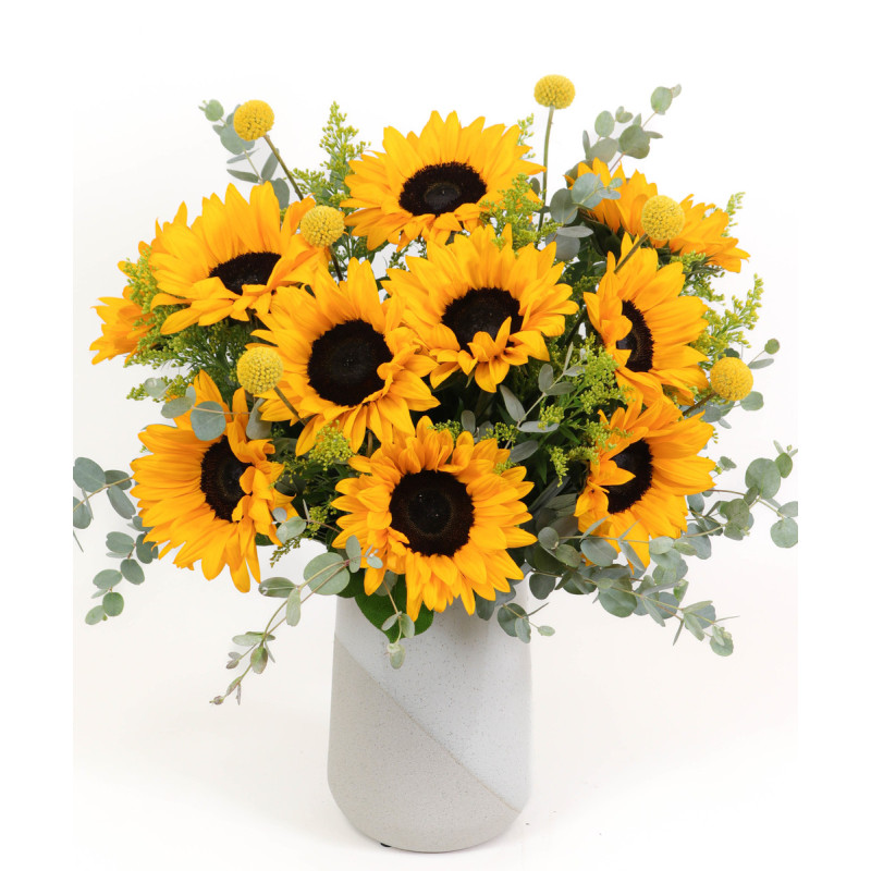 Mayfields Sunny Daze  - Same Day Delivery