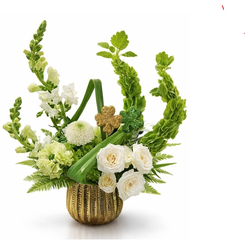 Mayfields Lucky Blooms - Same Day Delivery