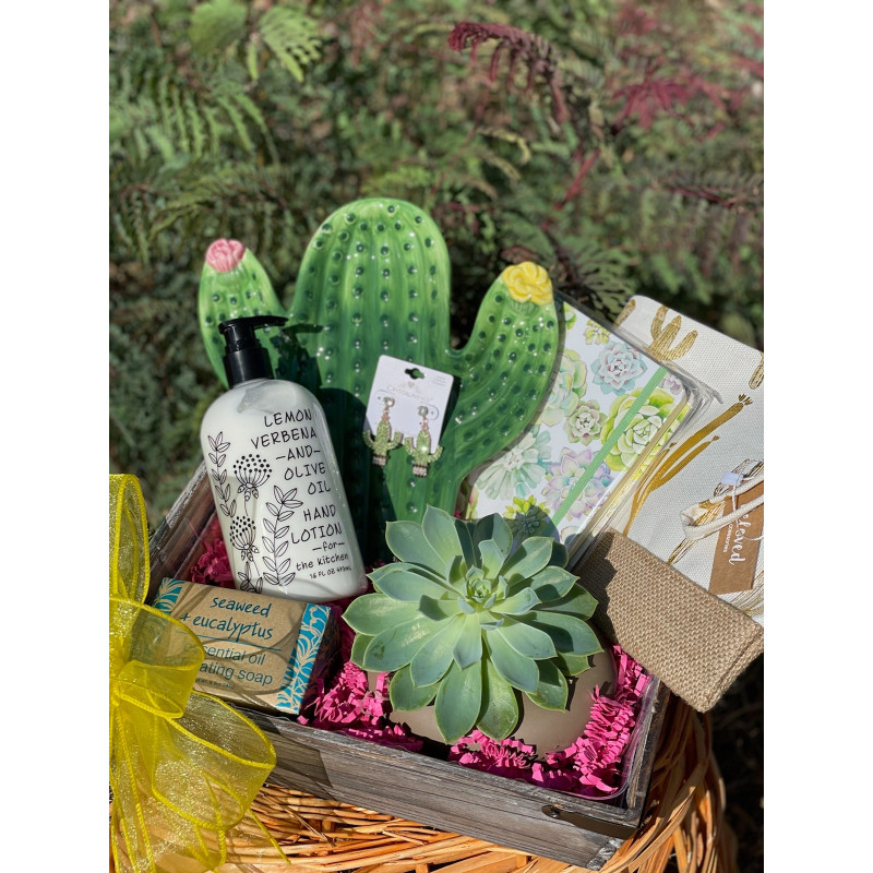 Cactus or Succulent Yes please basket - Same Day Delivery