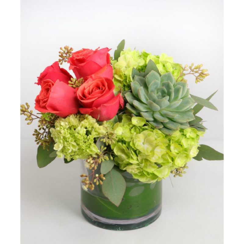 Payson Sensation  - Same Day Delivery
