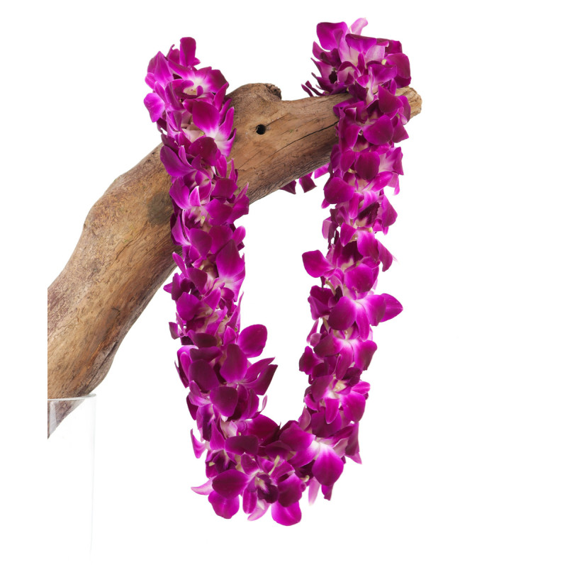 Double Bombay Orchid Lei - Same Day Delivery