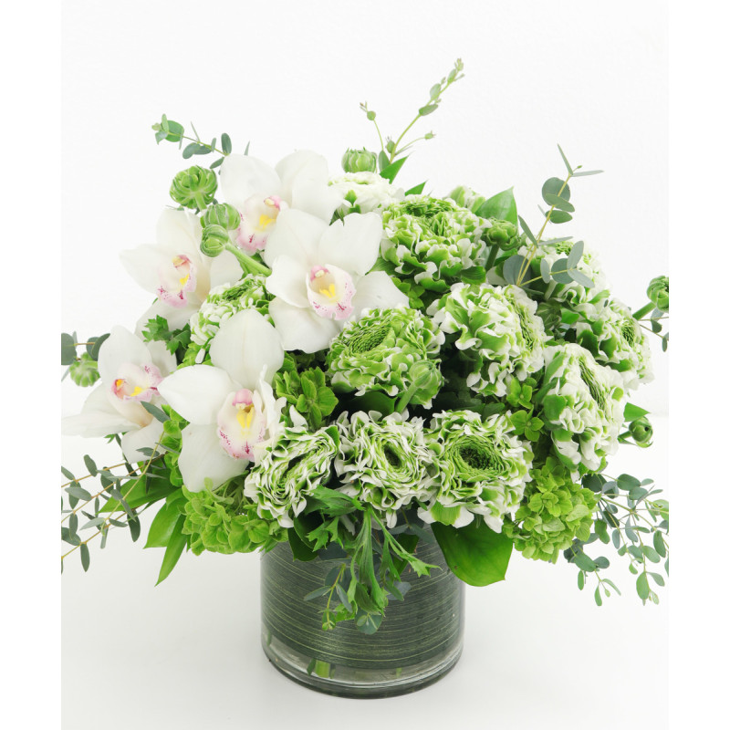 Mayfields Ranunculus Garden - Same Day Delivery
